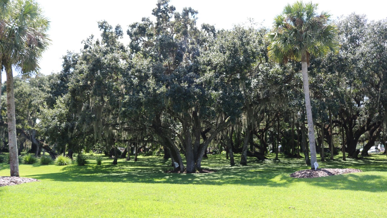 Photo of Others in River Ranch