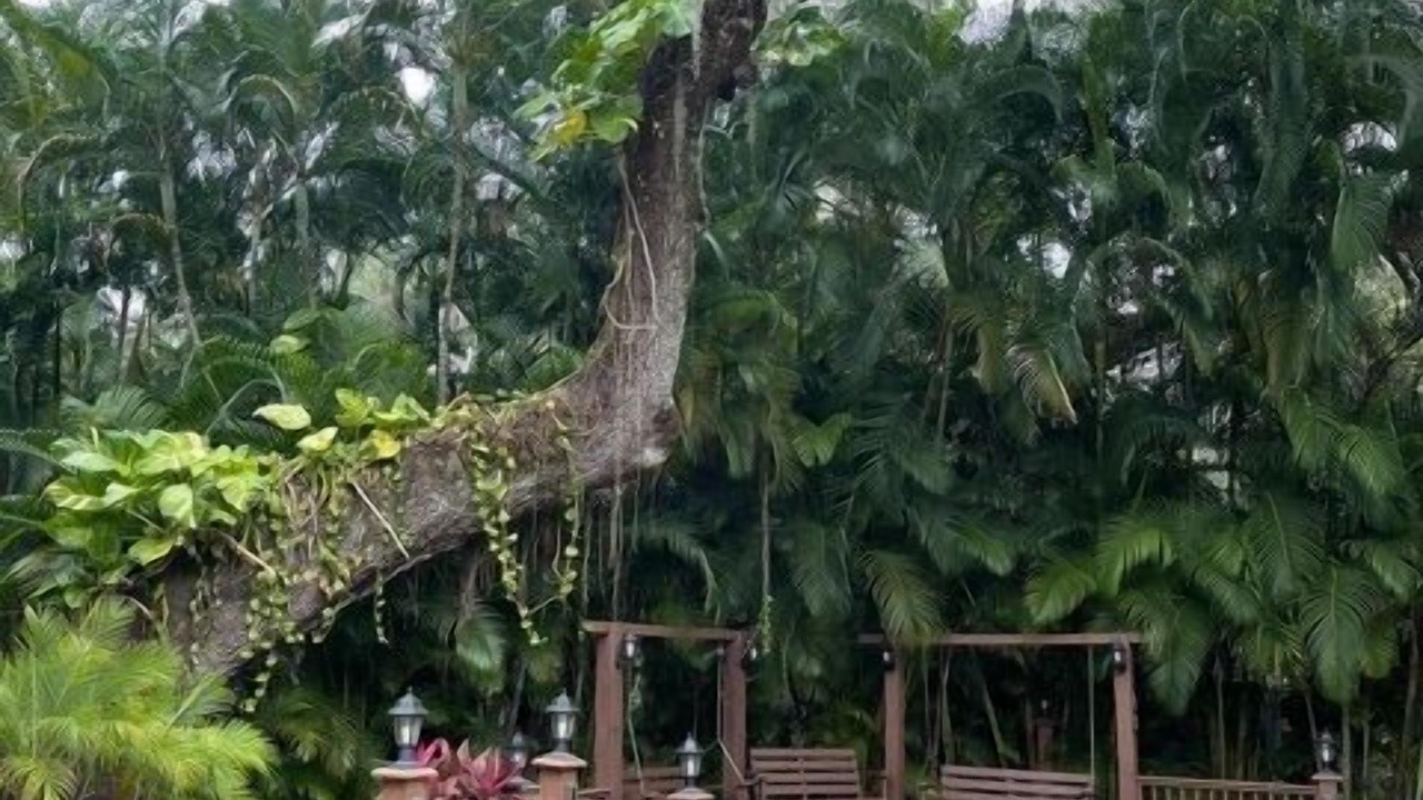 Photo of Outdoor in River Ranch