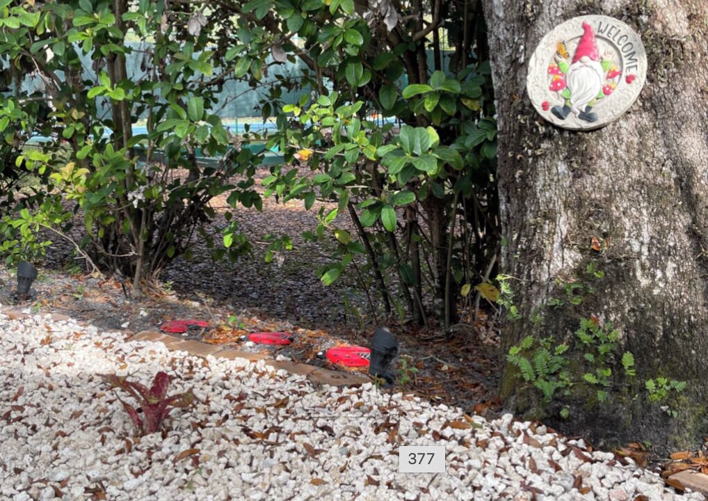 Photo of Outdoor in River Ranch