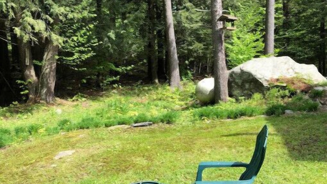 Photo of Outdoor in Stowe Hollow