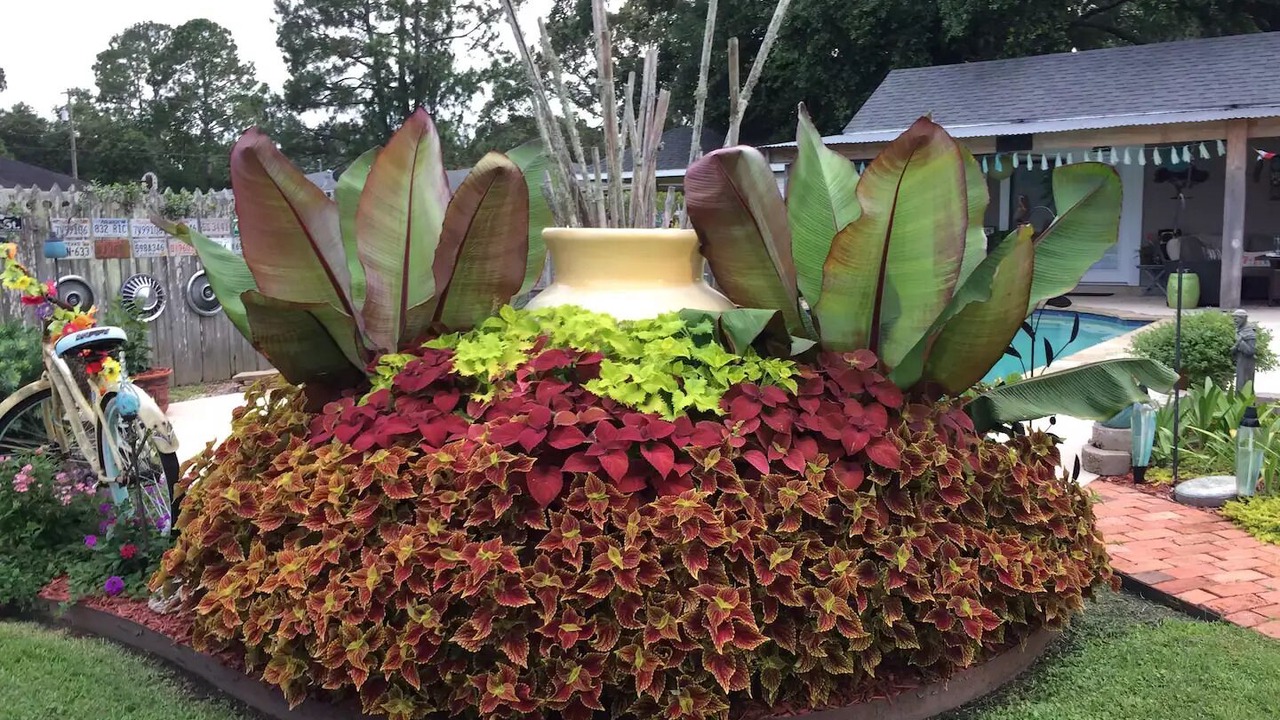 Photo of Outdoor in Iberia Parish