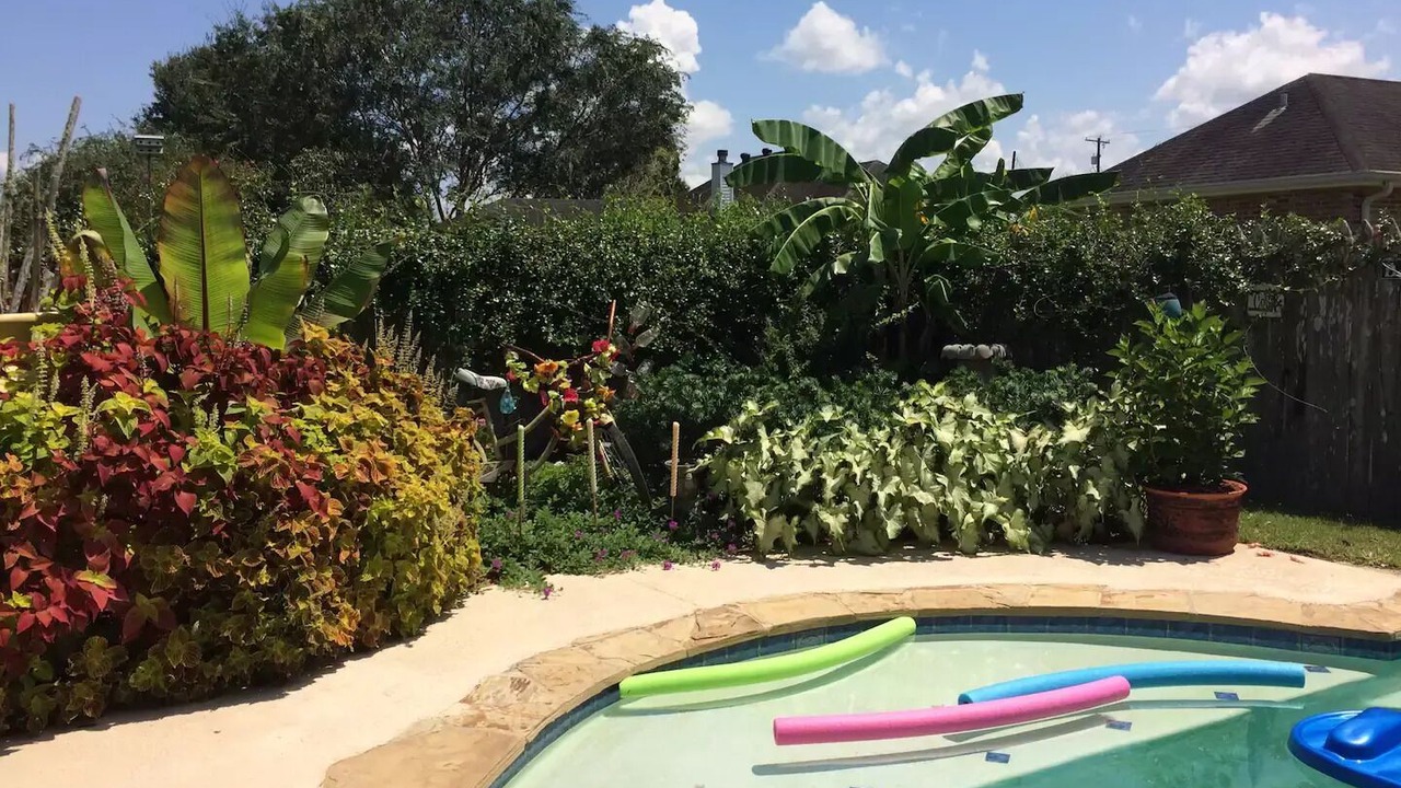 Photo of Outdoor in Iberia Parish