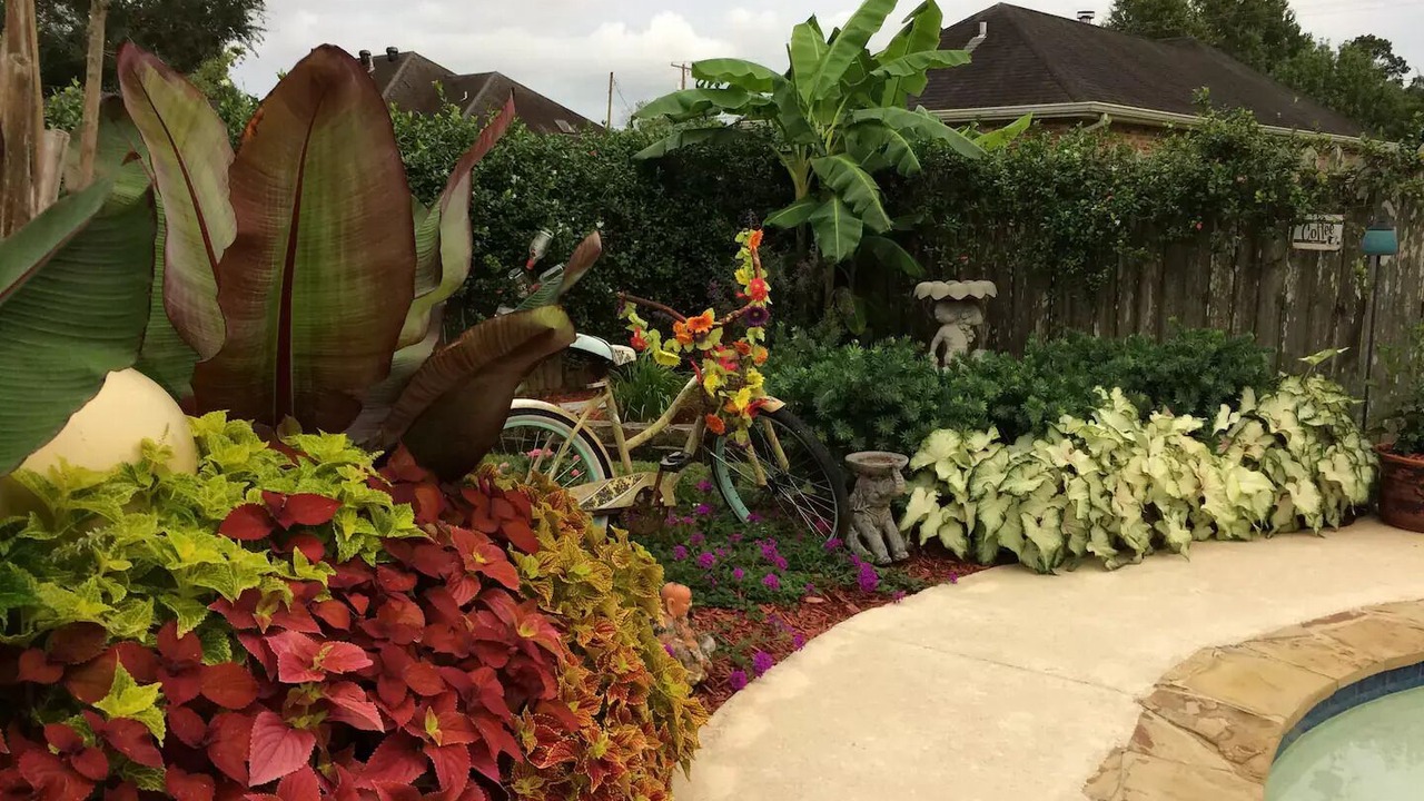 Photo of Outdoor in Iberia Parish