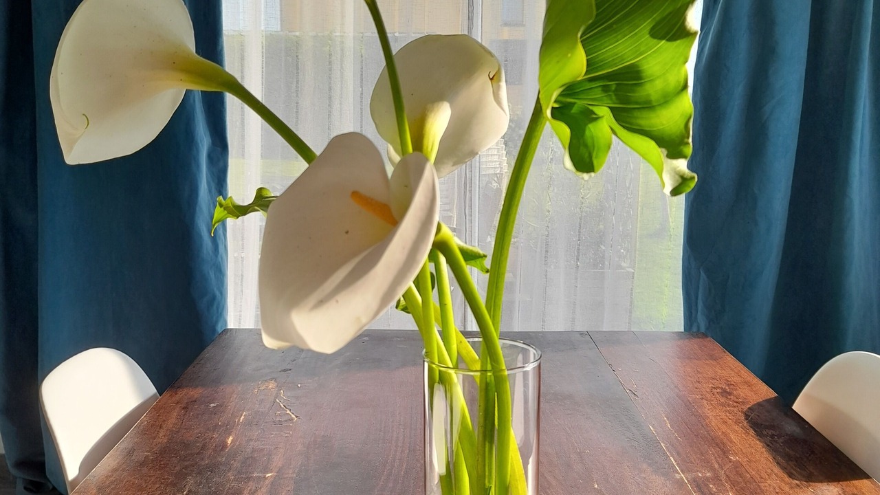 Photo of Others in Lanvallay