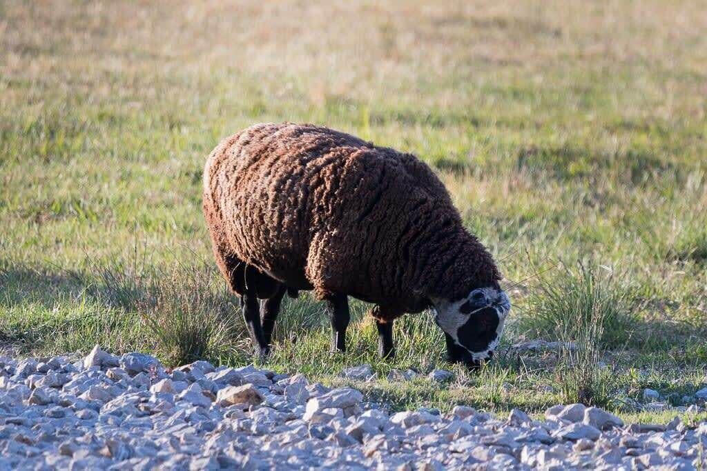 Photo of Outdoor in Turill