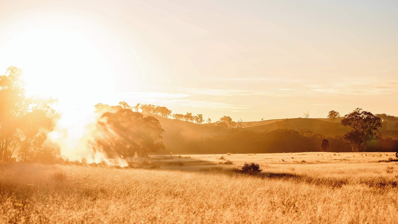 Photo of Others in Turill