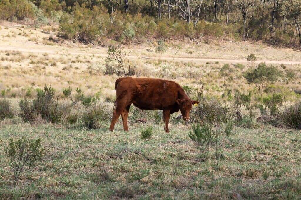 Photo of Others in Turill