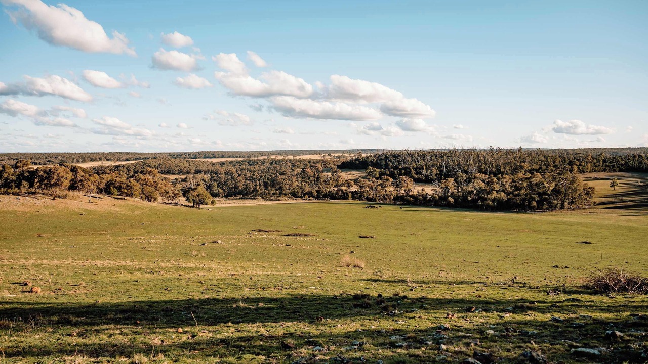 Photo of Others in Turill