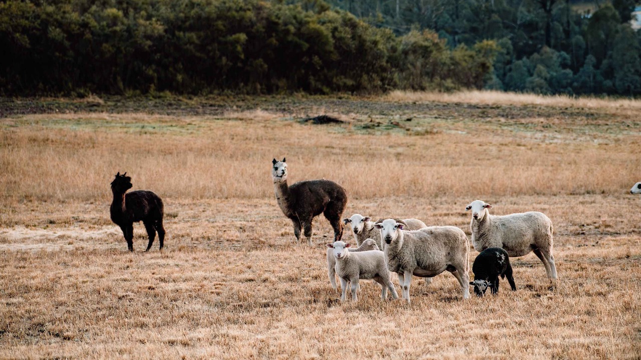 Photo of Others in Turill