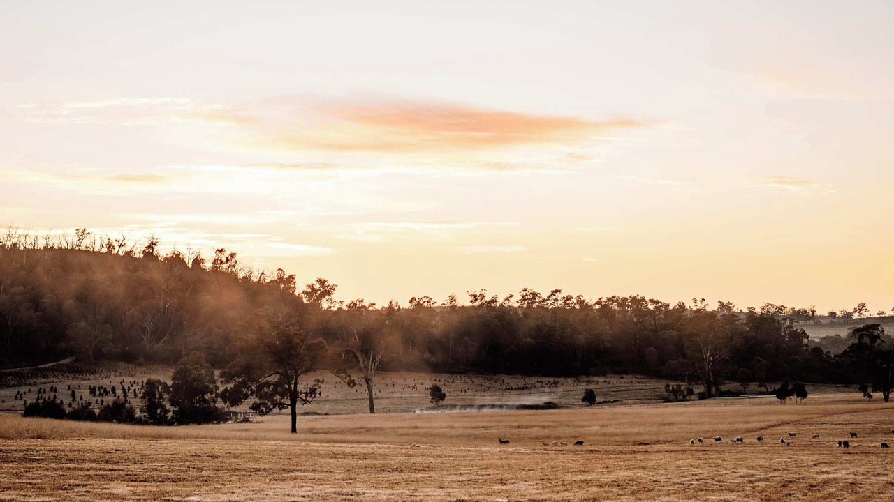 Photo of Others in Turill