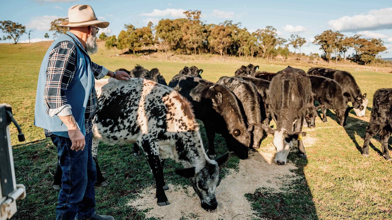 Photo of Others in Turill