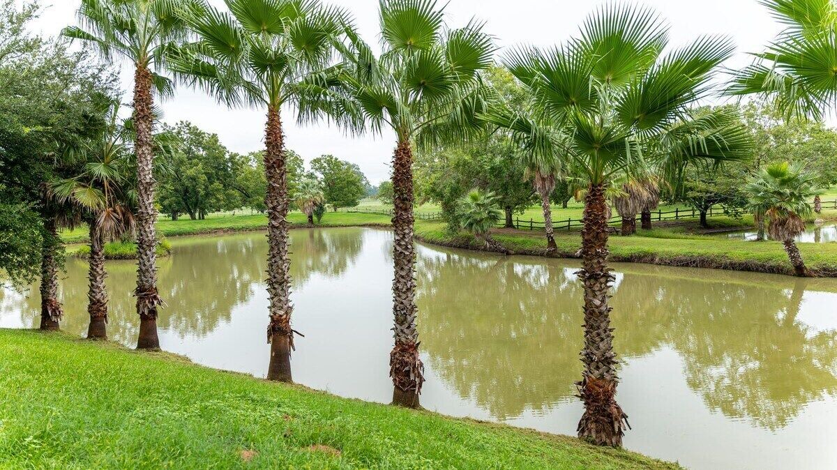 Photo of Outdoor in Satin