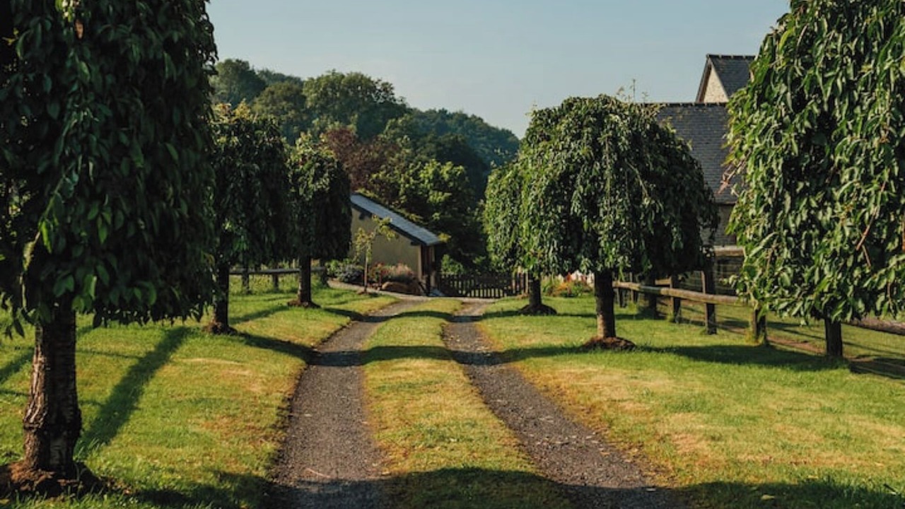 Photo of Outdoor in Cherence-le-Heron