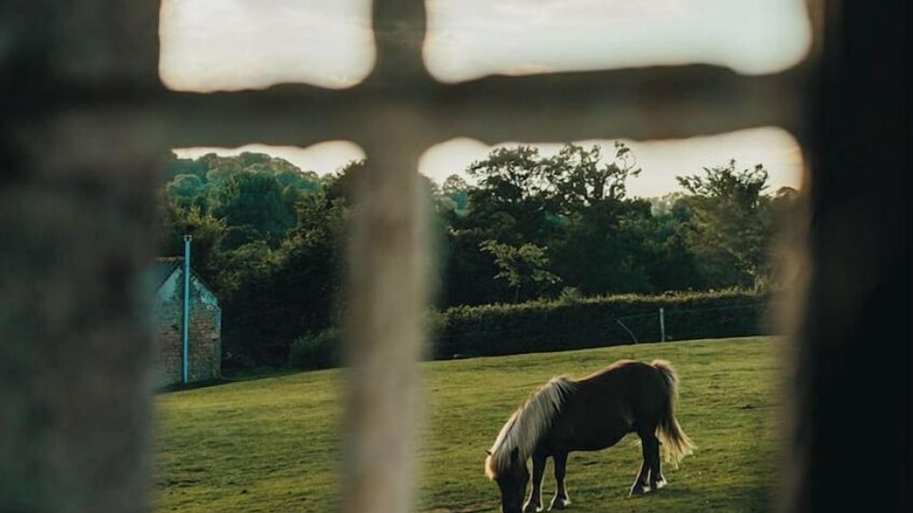 Photo of Others in Cherence-le-Heron