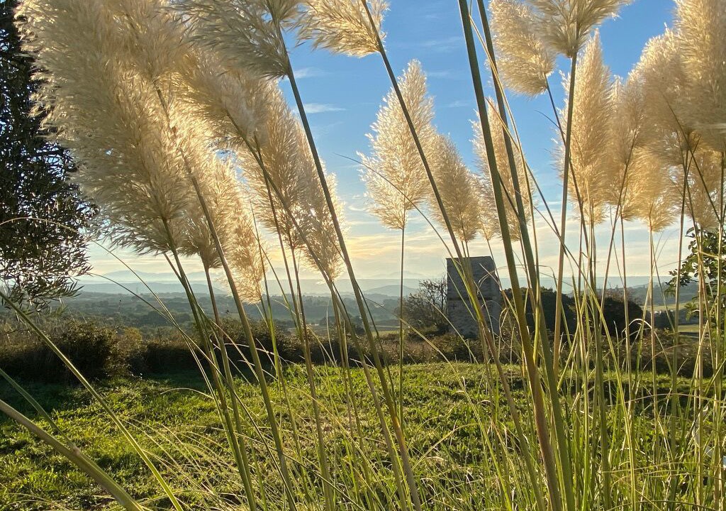 Photo of Outdoor in Forcalquier