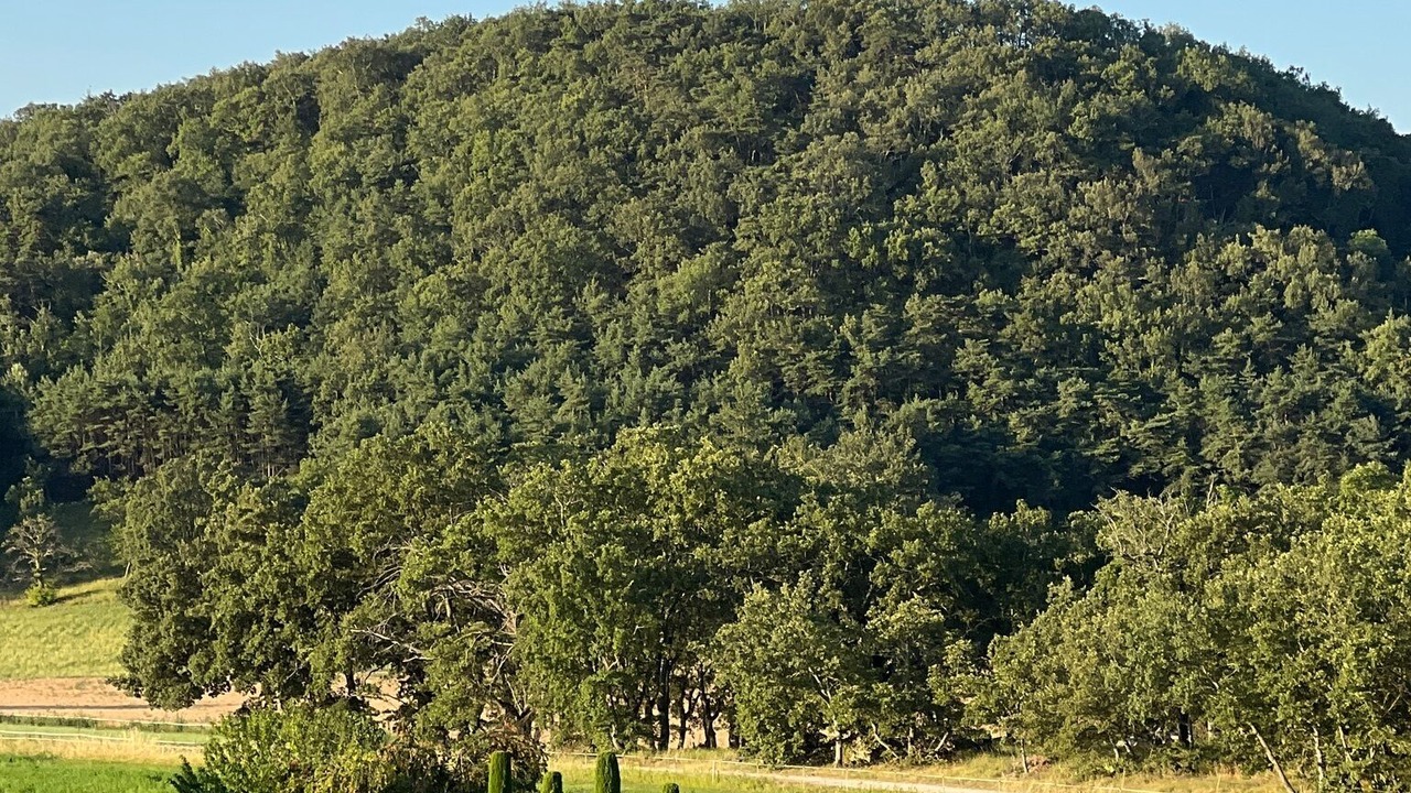 Photo of Others in Forcalquier