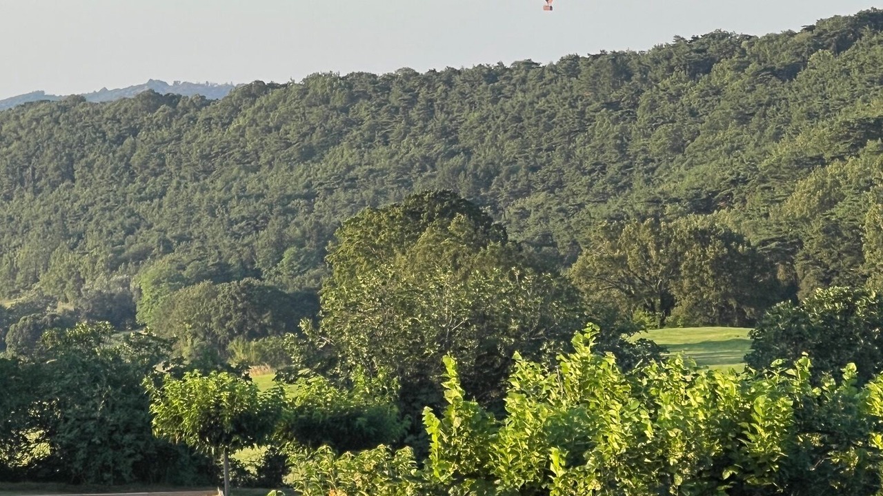 Photo of Others in Forcalquier