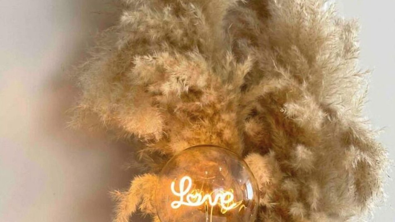 Photo of Others in Loudeac