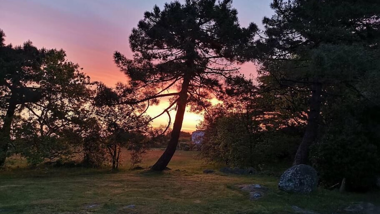 Photo of Outdoor in Ile d'Yeu