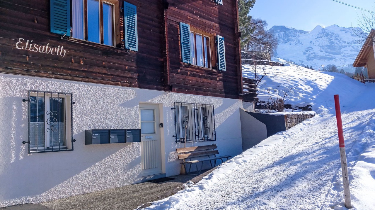 Photo of Others in Wengen