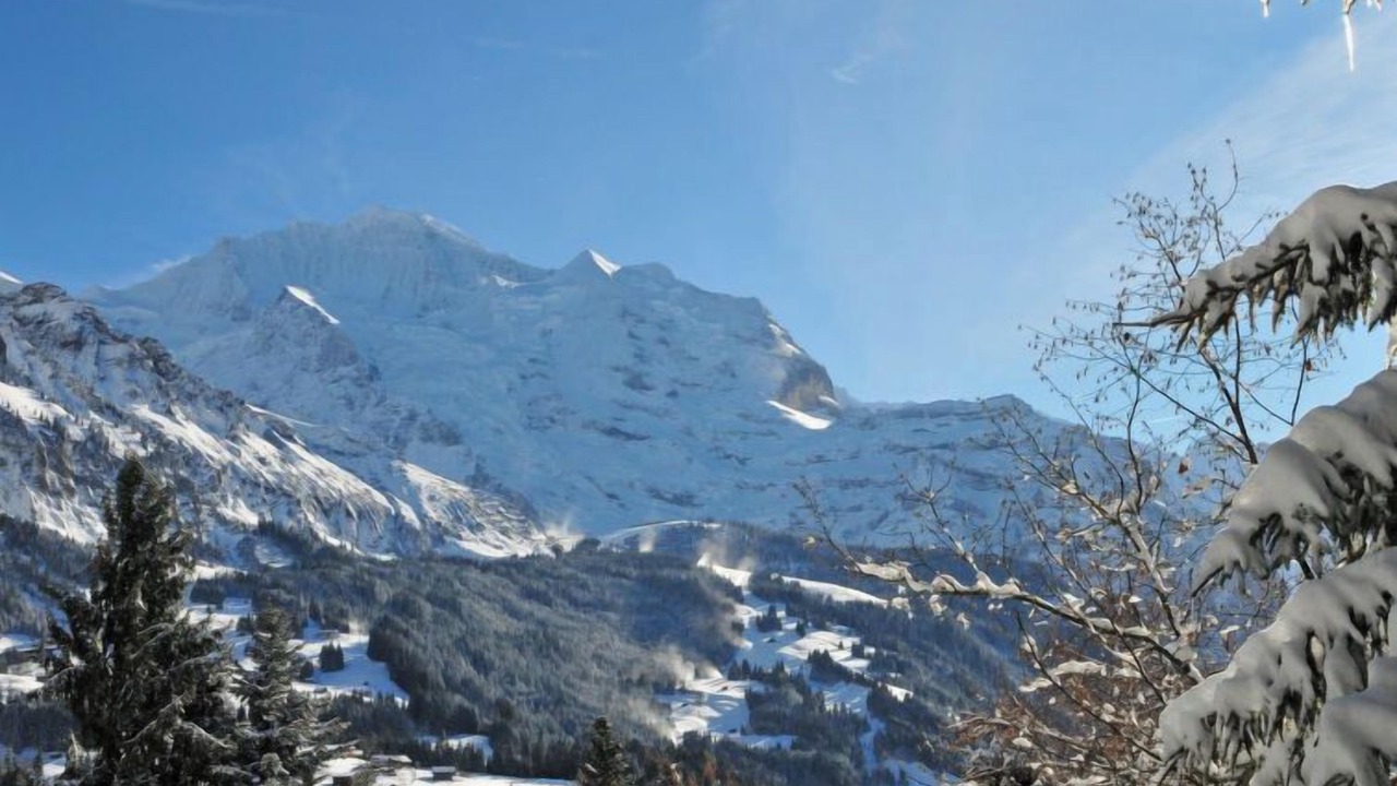 Photo of Others in Wengen