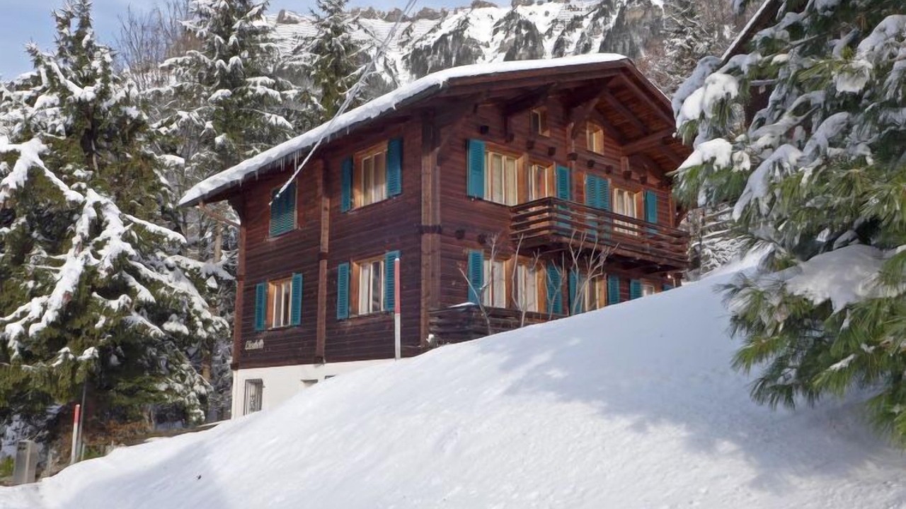 Photo of Others in Wengen