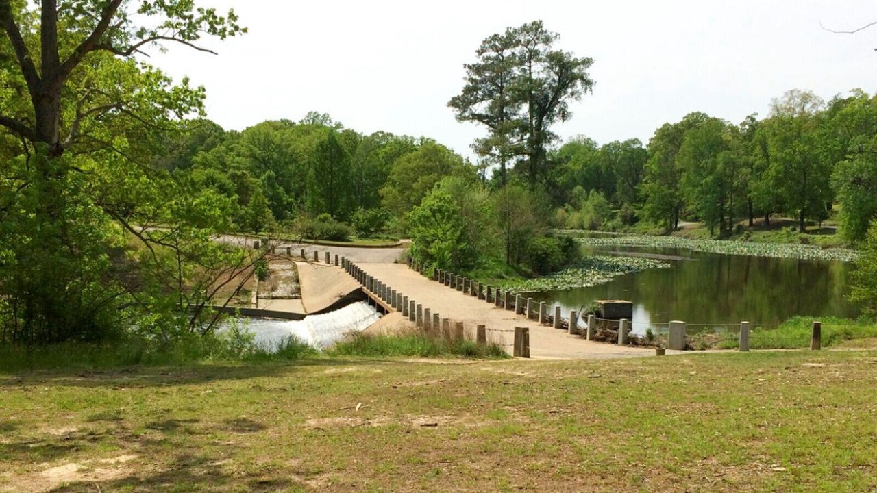 Photo of Others in Richmond
