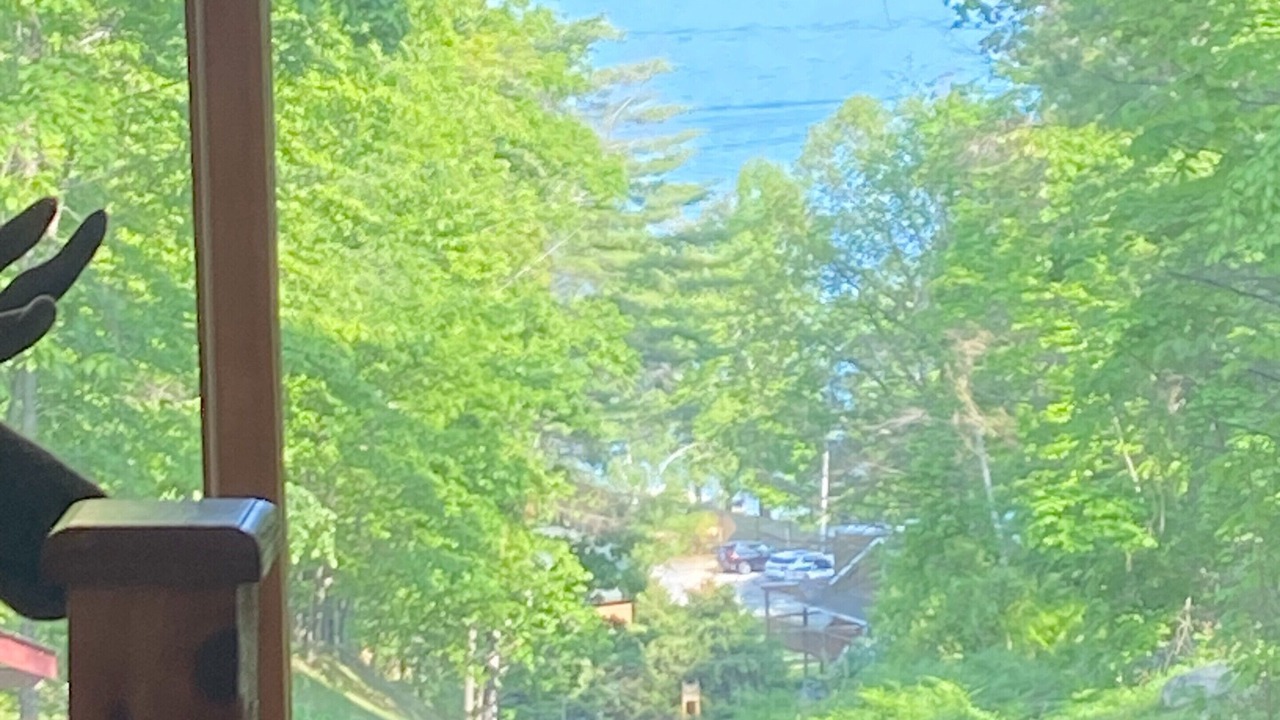 Photo of Others in North Lake George