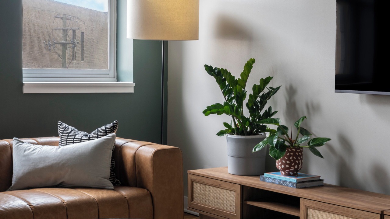 Photo of Livingroom in Wicker Park