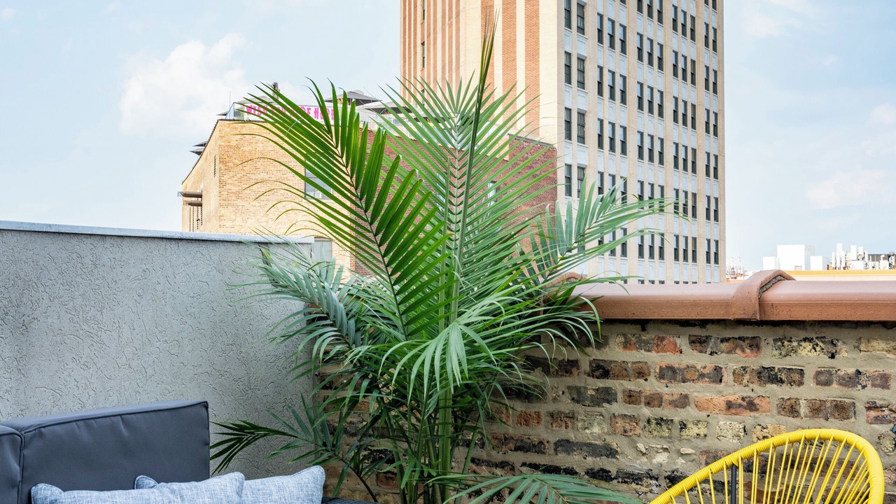 Photo of Outdoor in Wicker Park