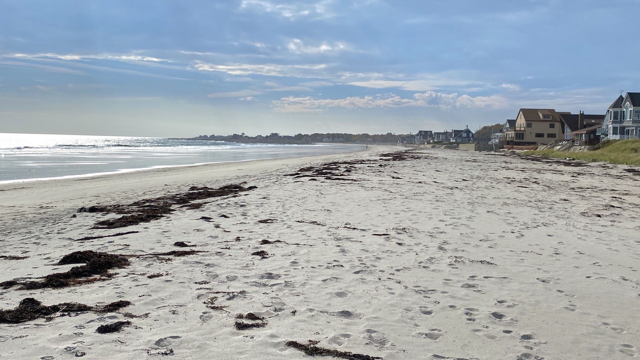 Photo of Others in Biddeford Pool