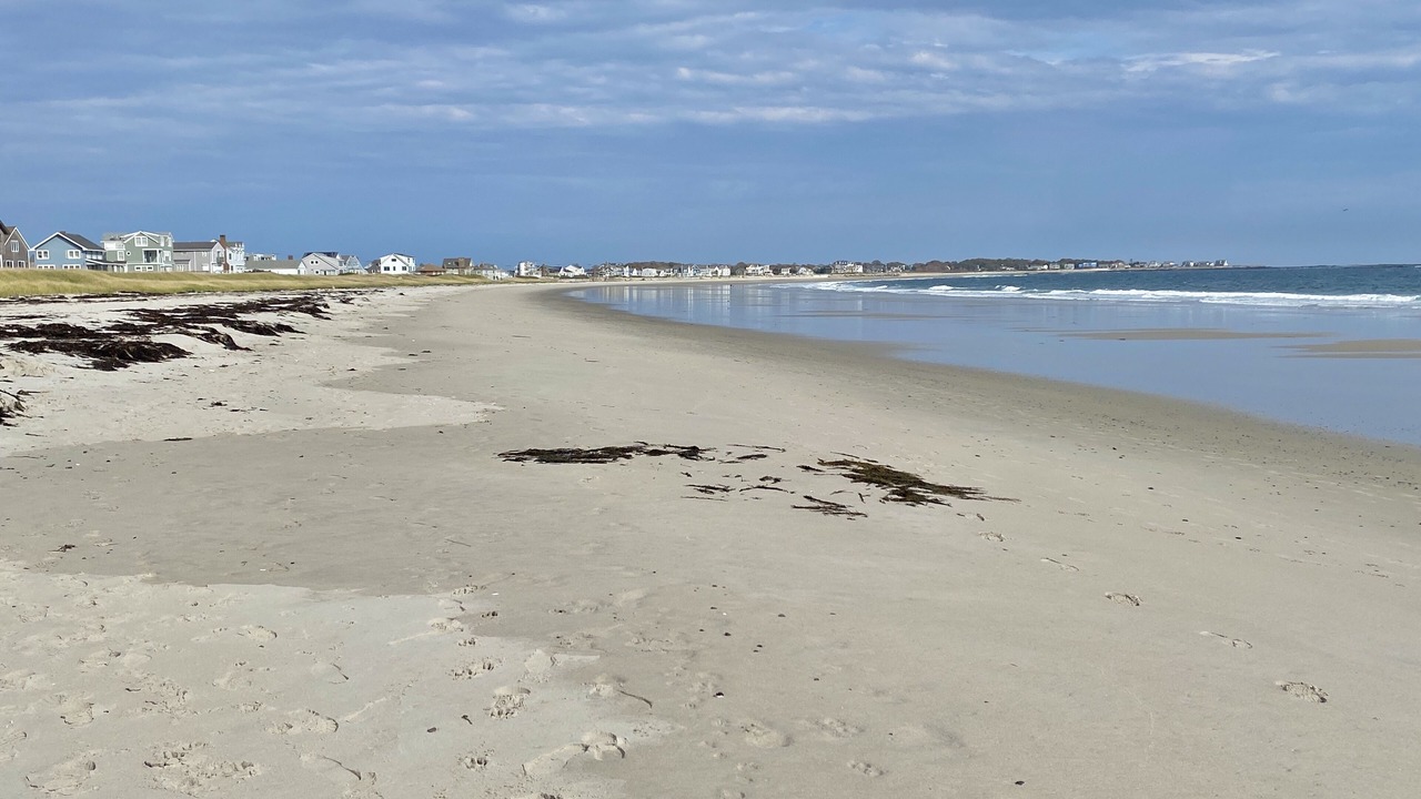 Photo of Others in Biddeford Pool