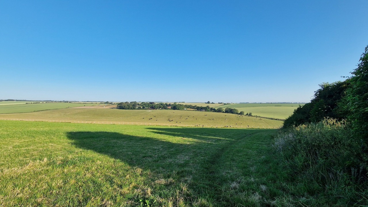 Photo of Outdoor in St Margaret's at Cliffe