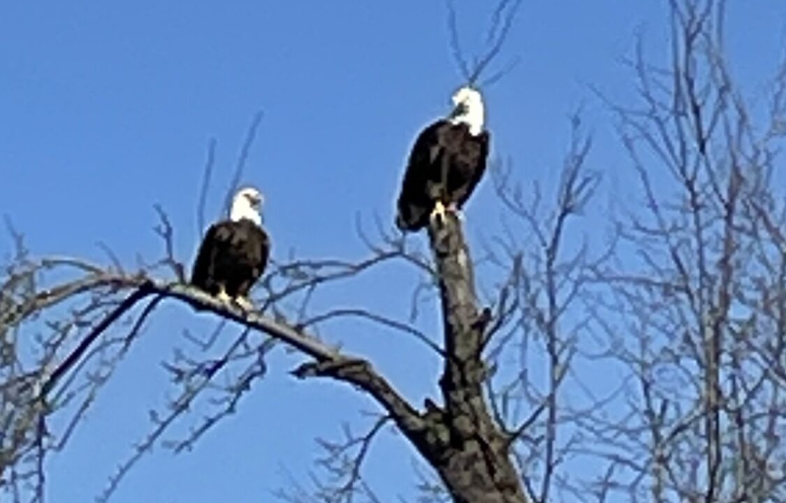 Photo of Others in Brookville