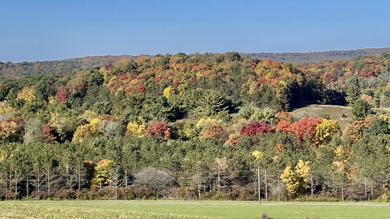 Photo of Outdoor in Brookville