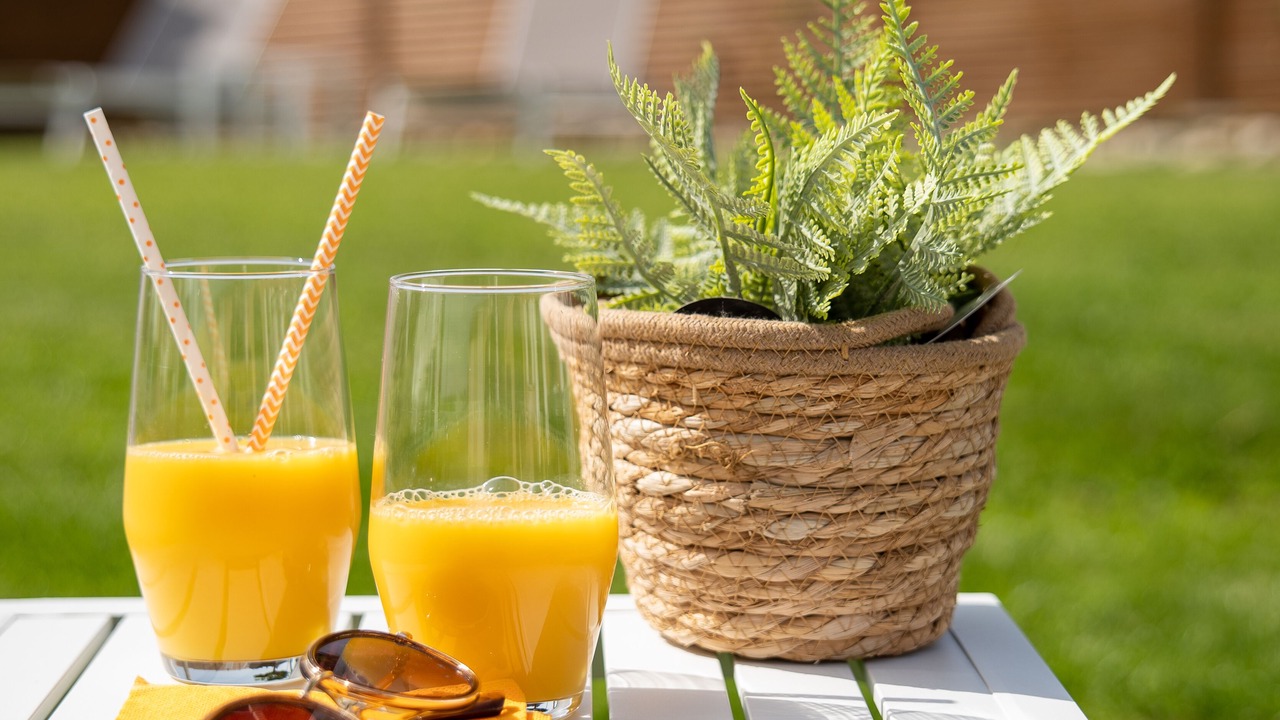 Photo of Others in Garrigues