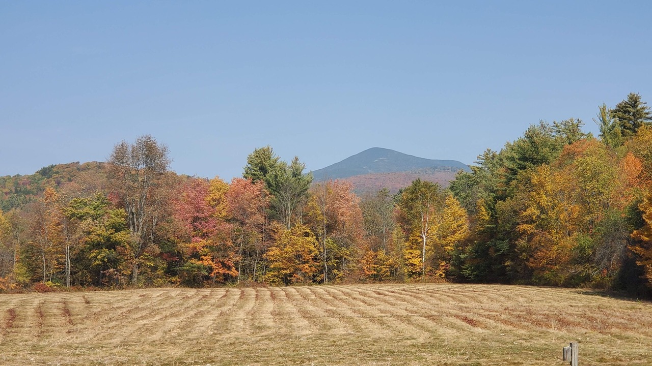 Photo of Outdoor in Warren