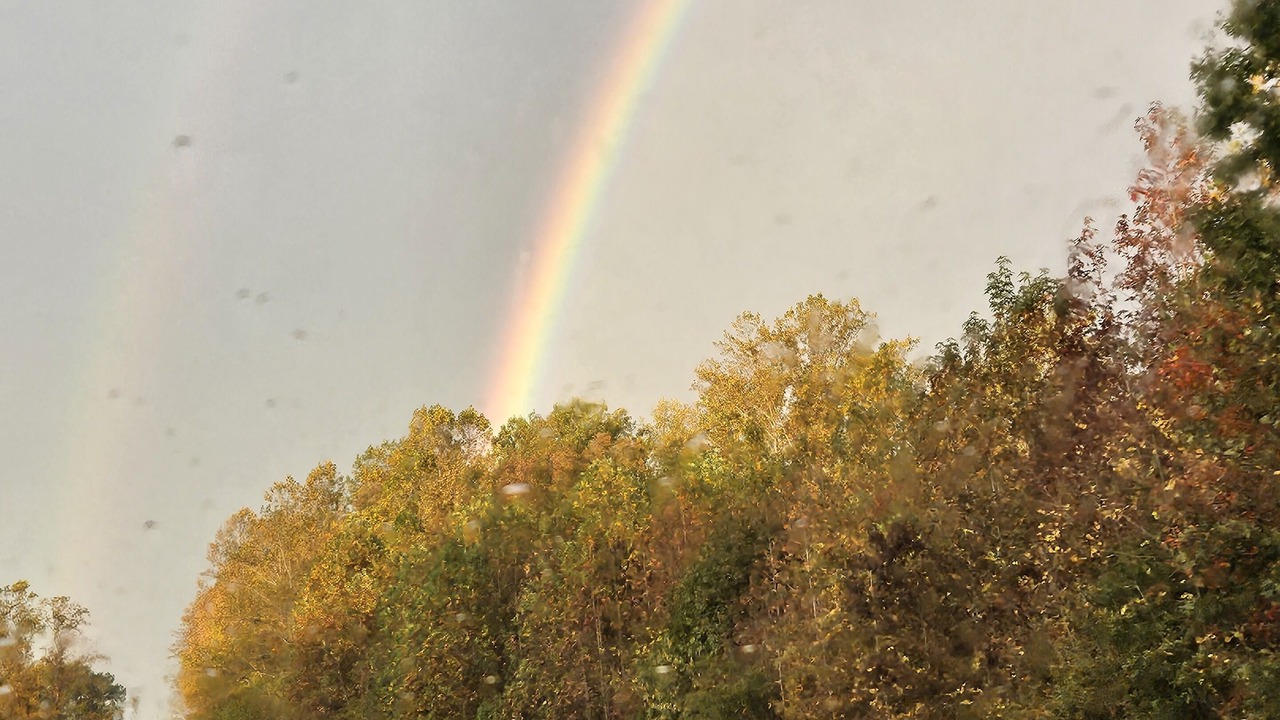 Photo of Outdoor in Kings Mountain
