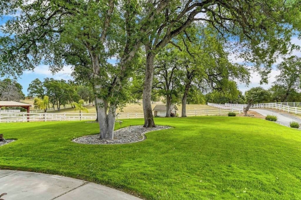 Photo of Outdoor in Lincoln