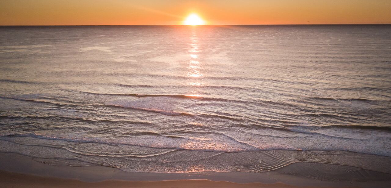 Photo of Others in Hastings Point