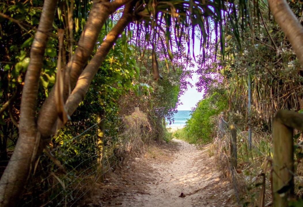 Photo of Others in Hastings Point