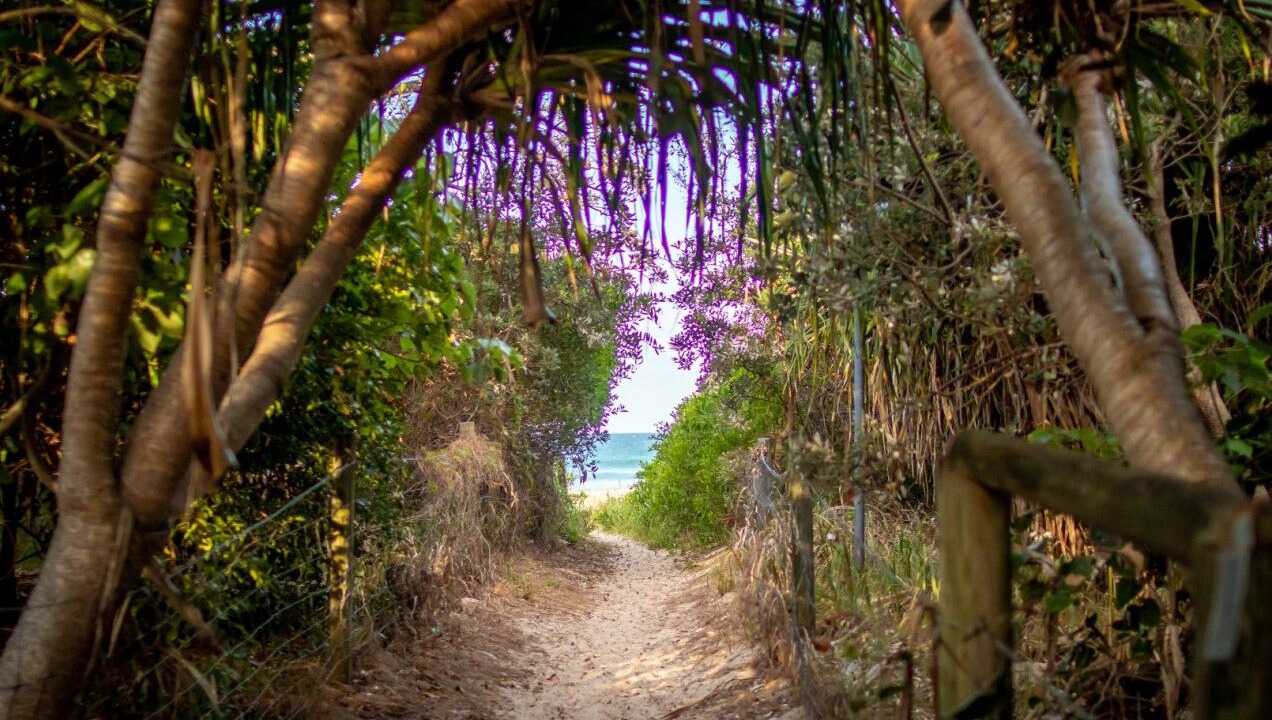 Photo of Others in Hastings Point