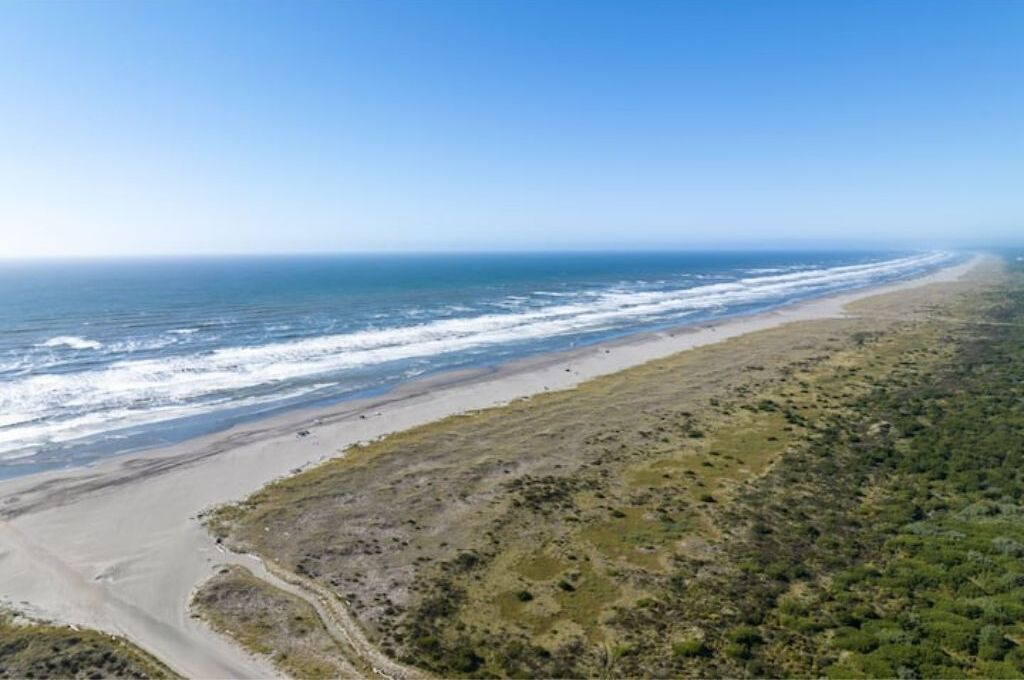 Photo of Others in Ocean Shores