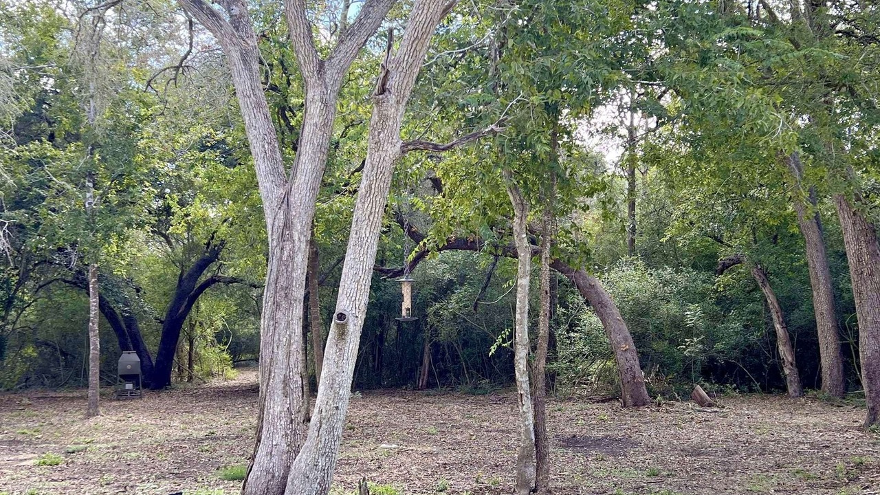 Photo of Others in Fayetteville