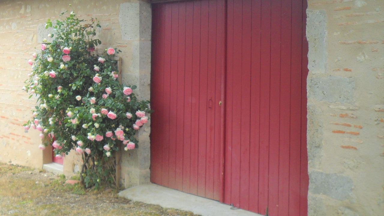 Photo of Outdoor in Tonneins