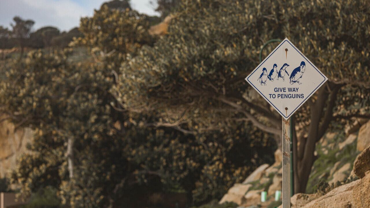 Photo of Others in Waitpinga