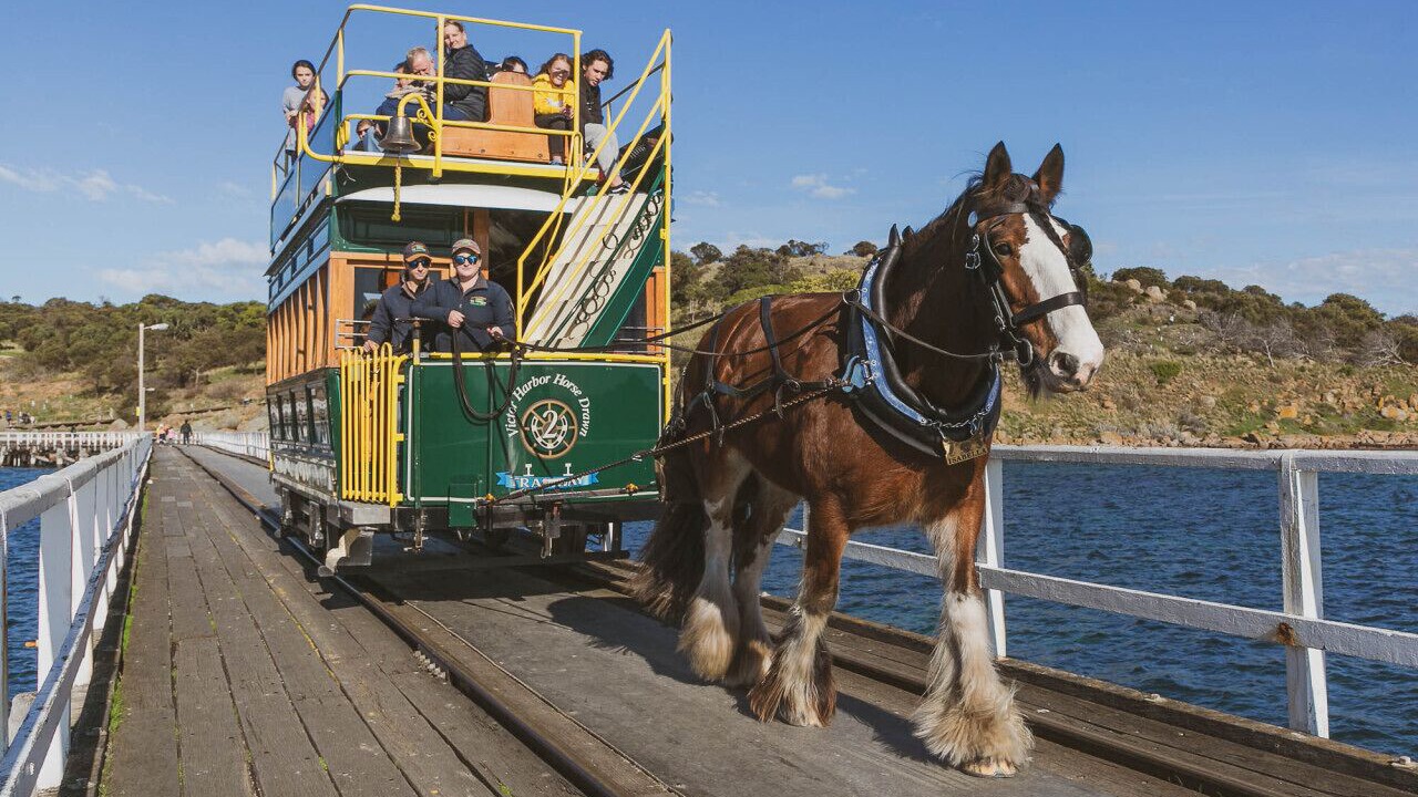 Photo of Others in Waitpinga
