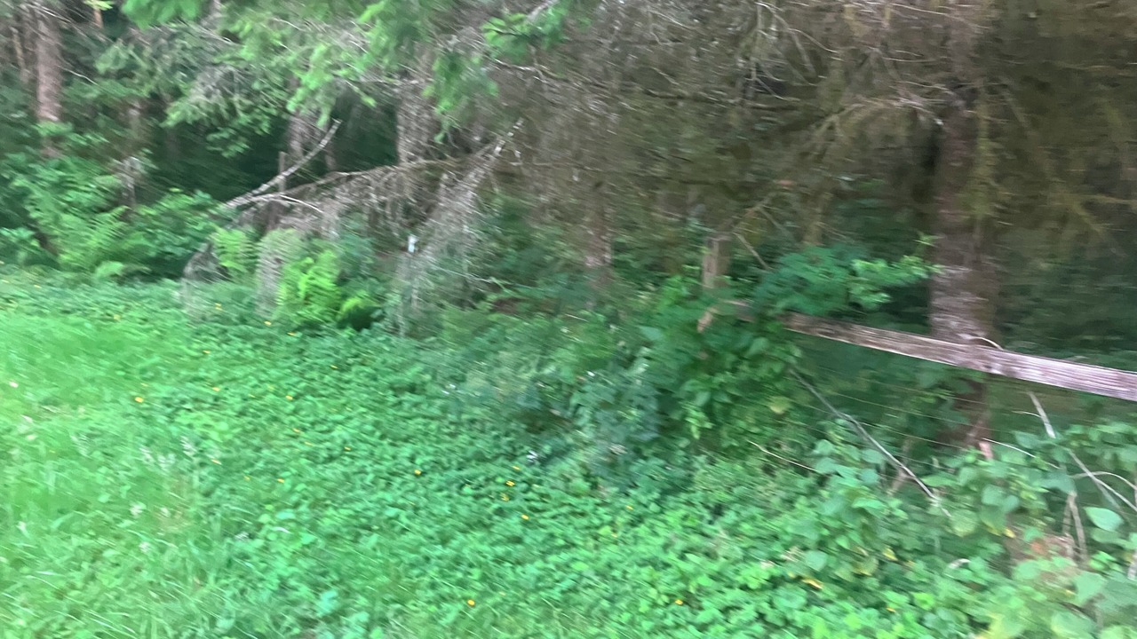 Photo of Outdoor in Mirrormont