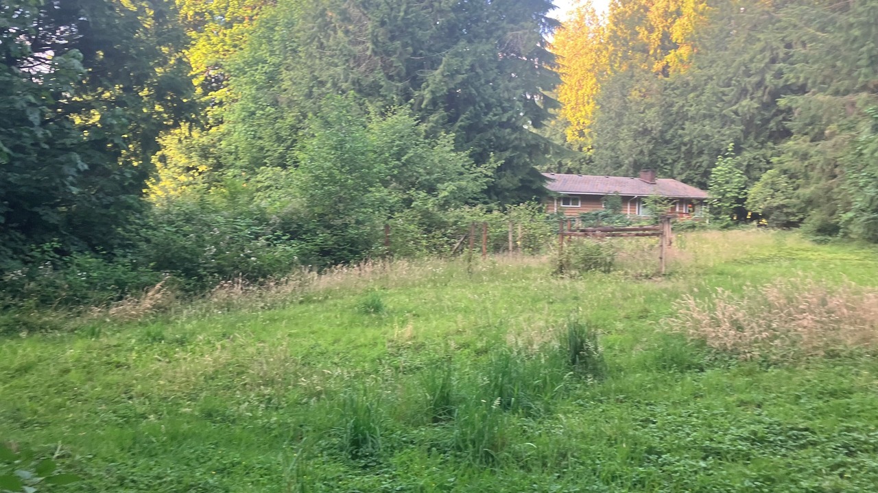 Photo of Outdoor in Mirrormont