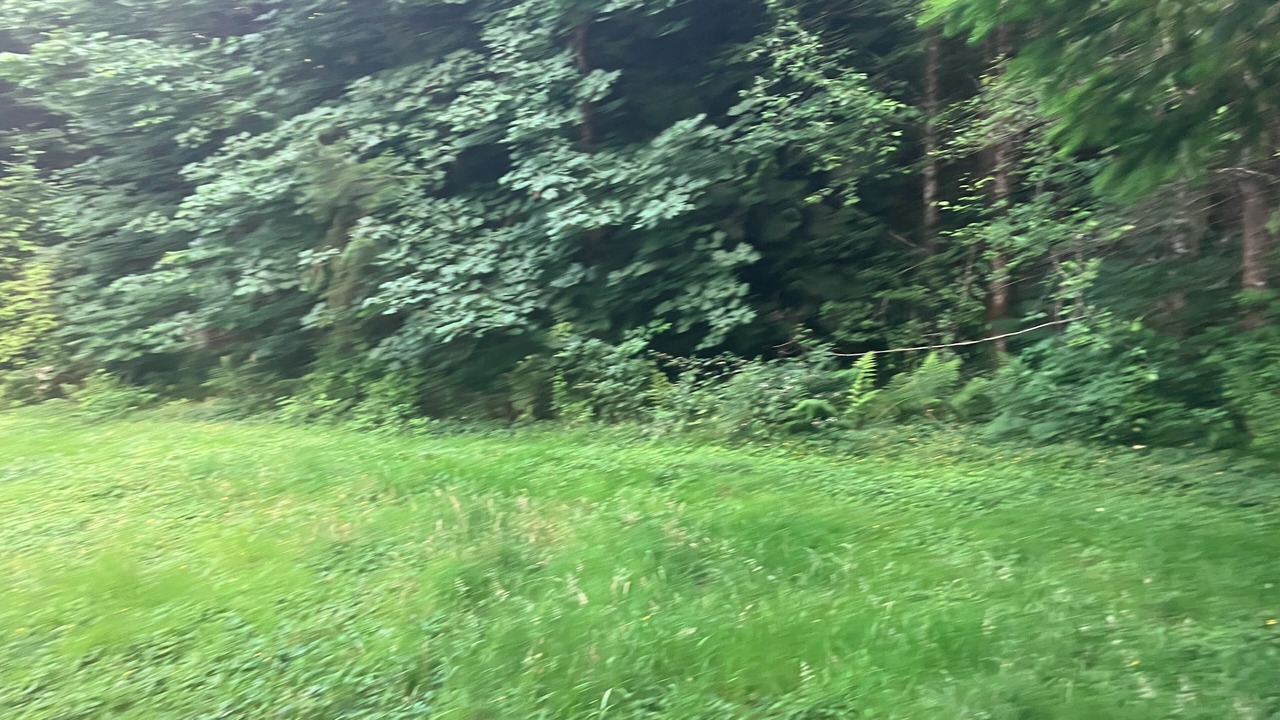 Photo of Outdoor in Mirrormont